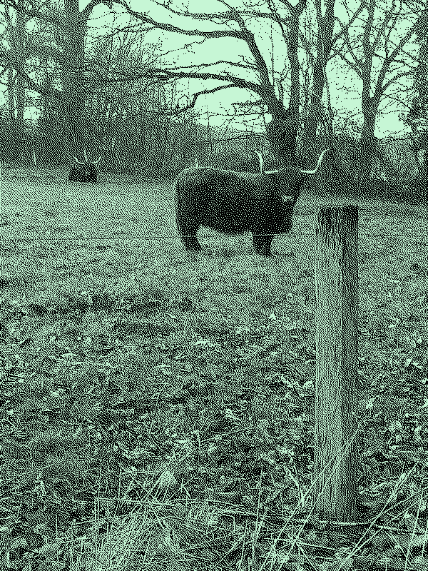 8/10 - Et si les musées avaient tout à voir avec la démarche low-tech ?
