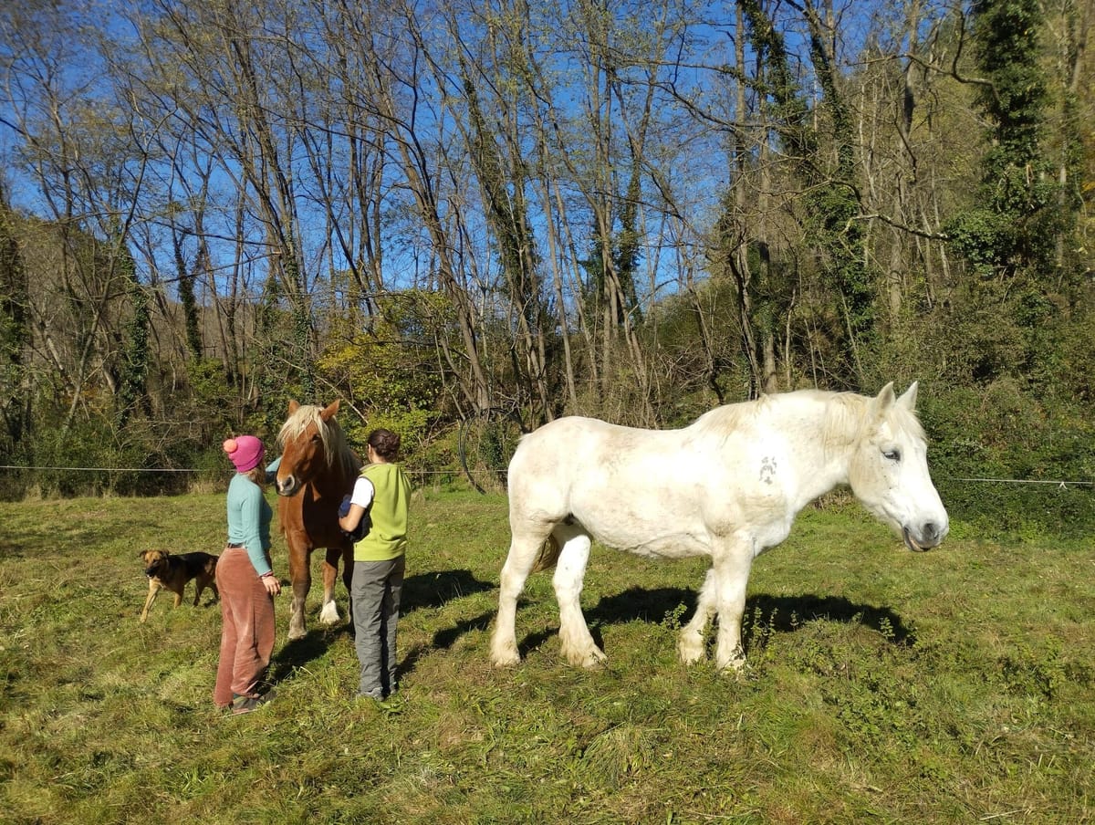La douce cavale de Lother et Jóhanna