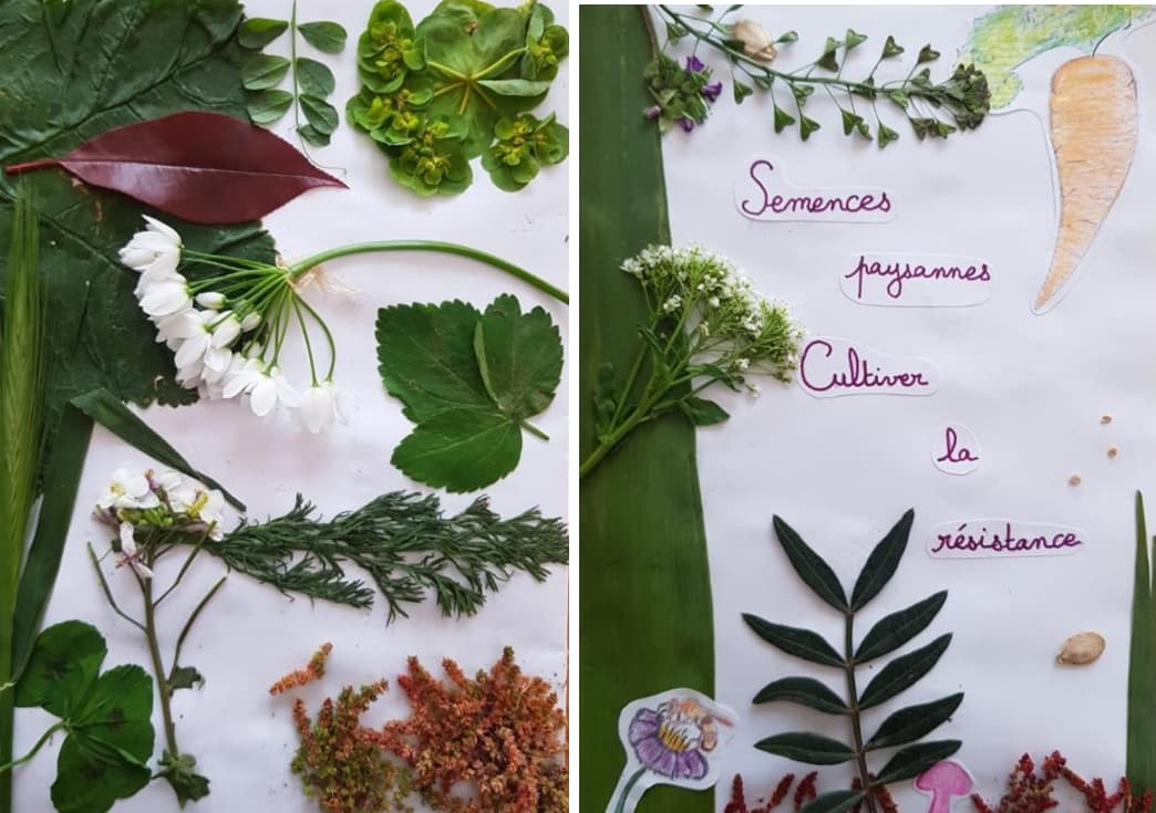 [fanzine] Semences paysannes, cultiver la résistance