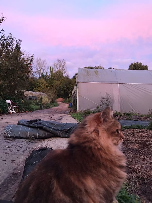 Du vélo, du maraichage, des réflexions