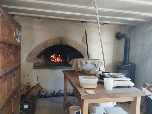 Mettre la main à la pâte pour construire des alternatives